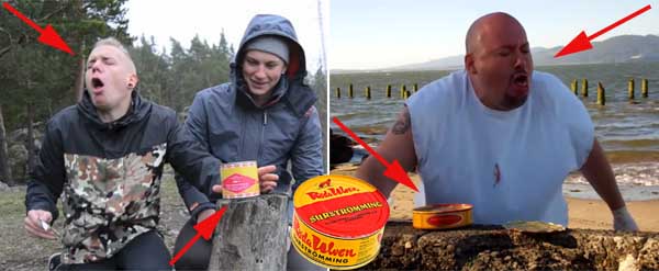 Surströmming: esta es la comida preferida de los suecos que huele como a  pescado podrido, Suecia, viral, Video, Mundo